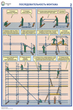 ПС26 Строительные леса (конструкции, монтаж, проверка на безопасность) (ламинированная бумага, a2, 3 листа) - Охрана труда на строительных площадках - Плакаты для строительства - Магазин охраны труда и техники безопасности stroiplakat.ru